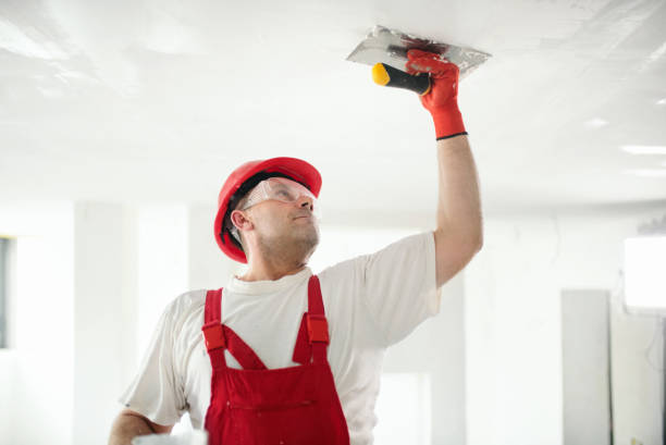 Best Drywall Texturing  in Ganado, TX